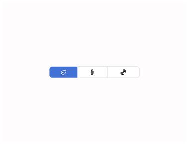 Segmented buttons | Michelin Design System